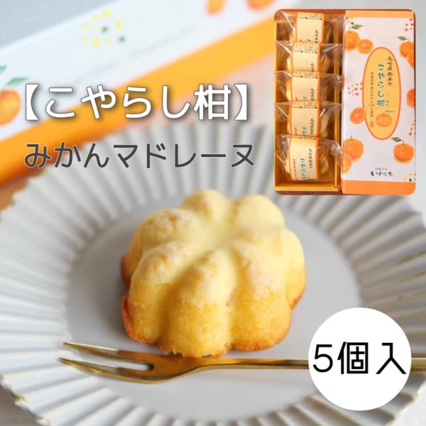 画像1: こやらし柑　５個 (1)